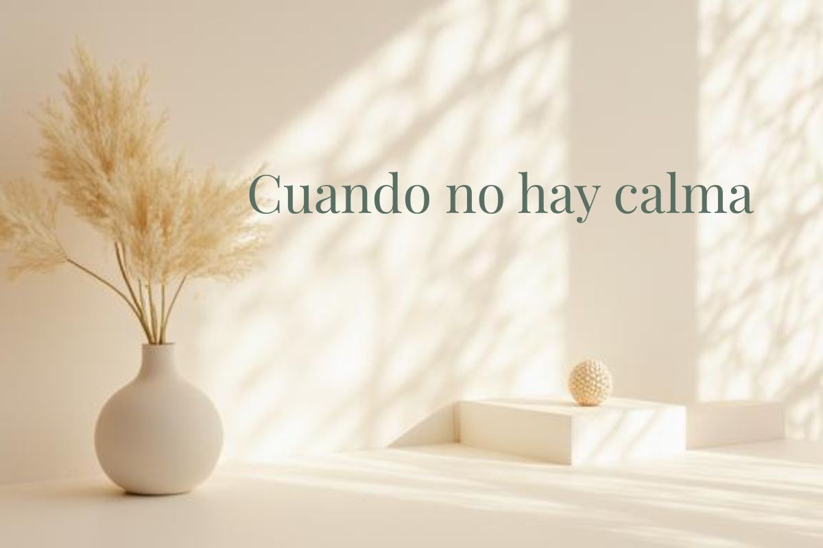 cuando no hay calma - imagen destacada