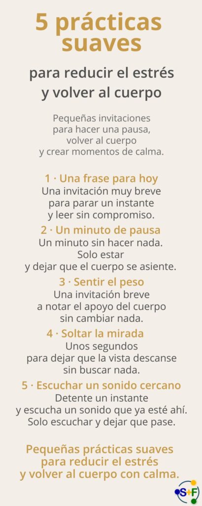 Infografía con 5 prácticas suaves para reducir el estrés y volver al cuerpo